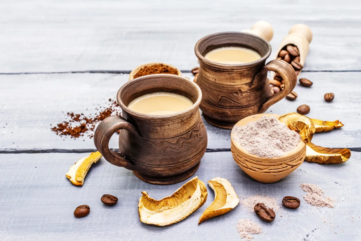 mushroom chaga coffee holistic wellness trend